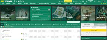 Unleashing Potential The Betwinner Experience