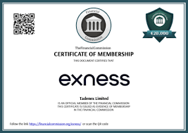 Unleashing the Potential of Forex Exness A Comprehensive Guide
